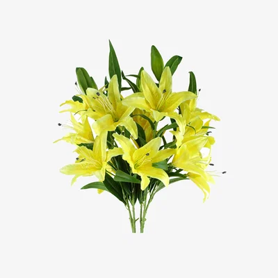 The Range Pack of 6 x Large Lily Stem - 18 Flowers -  Yellow Lily