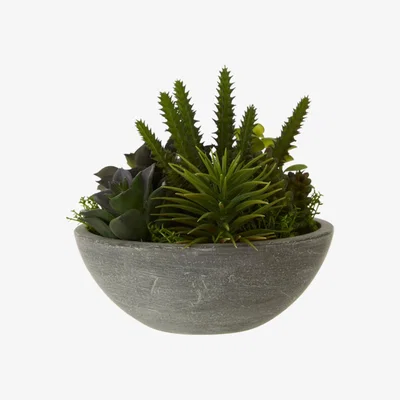Teddy Beau Teddy's Collection Faron Mixed Succulent Stone Effect Pot Grey