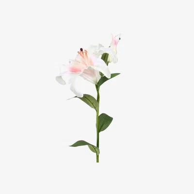 Teddy Beau Deco Home Pink Lily Magic Touch 2 Flower