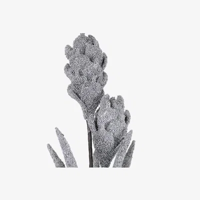 Teddy Beau Deco Home Glittery Grey Foam Protea Flower