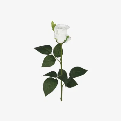 Teddy Beau Deco Home Cream Real Touch Single Stem Rose Bud Flower