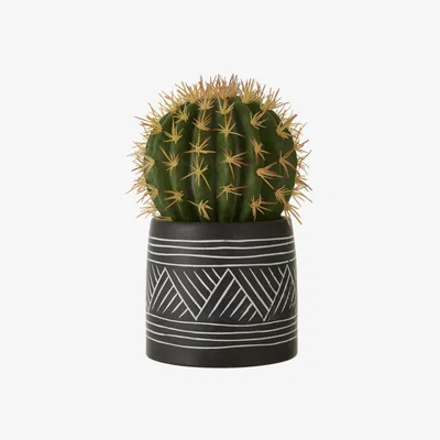Teddy Beau Teddy's Collection Fabien Cactus In Pot