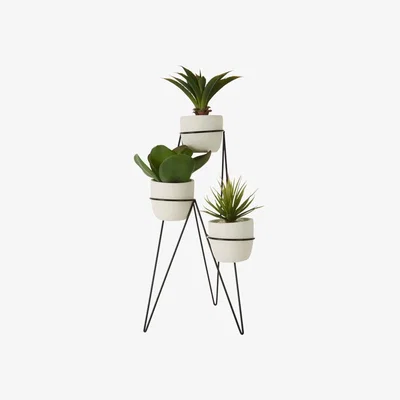 Teddy Beau Teddy's Collection Finola Set Of 3 Succulents Floor Standing Ceramic Pot Iron Stand White