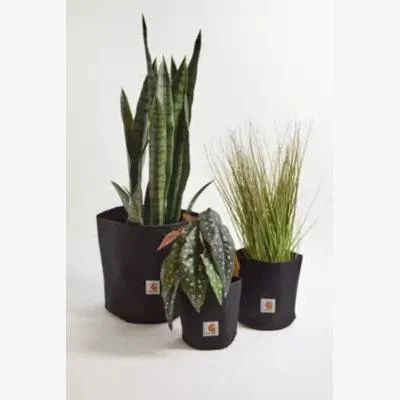 Urban Outfitters Carhartt WIP Groundworks Planter Set - Black 14cm x 16.5cm at Urban Outfitters