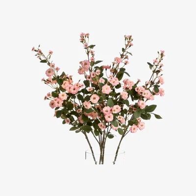 Woods Furniture Pink Wild Meadow Rose