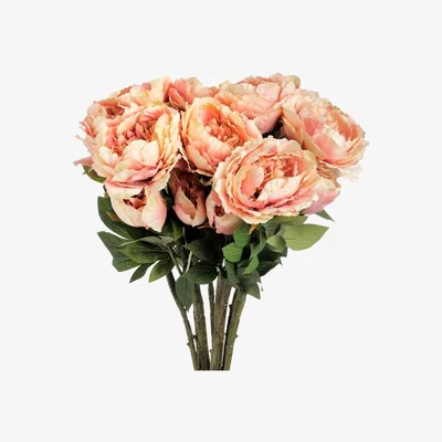 Woods Furniture Large Pink Peony Spray