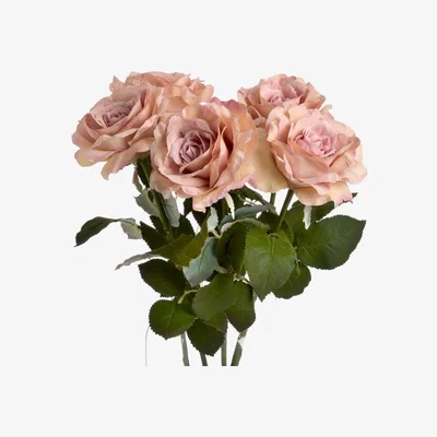 Woods Furniture Pink Silk Garden Rose