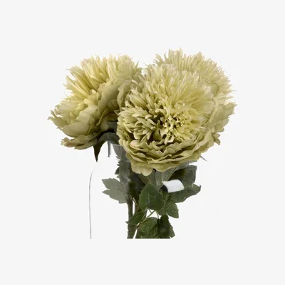 Woods Furniture Green Peony