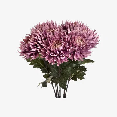 Woods Furniture Large Purple Chrysanthamum