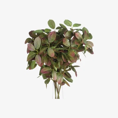 Woods Furniture Autumn Beech Spray