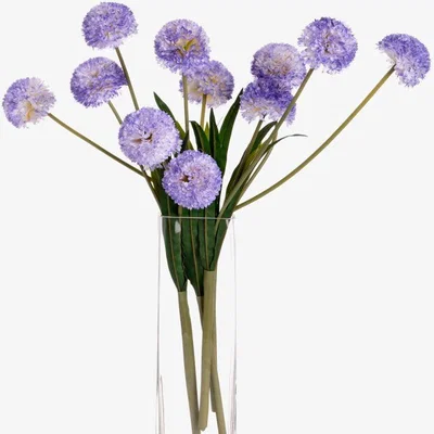 Woods Furniture Purple Pom Spray