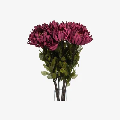 Woods Furniture Autumn Spider Chrysanthemum