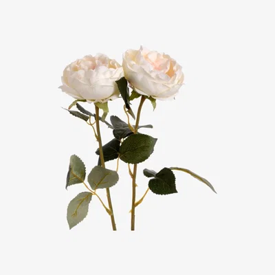 Woods Furniture Blush Garden Rose
