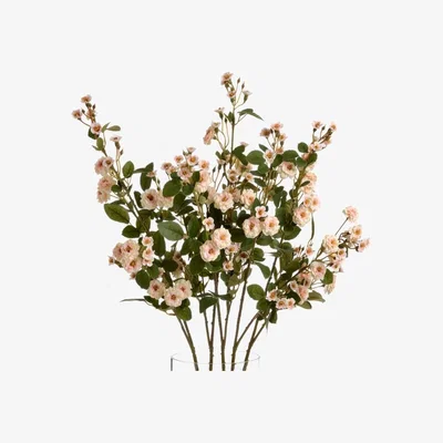 Woods Furniture Cream Wild Meadow Rose