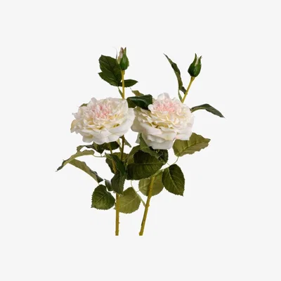 Woods Furniture White Garden Rose Spray