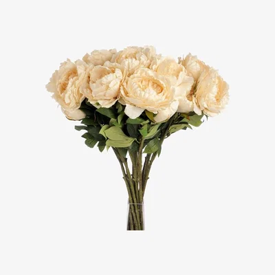 Woods Furniture Large Cream Peony Spray
