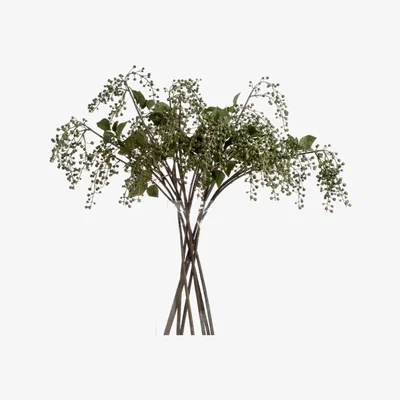 Woods Furniture Green Berry Spray
