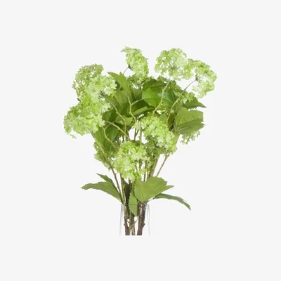 Woods Furniture Green Viburnum Spray