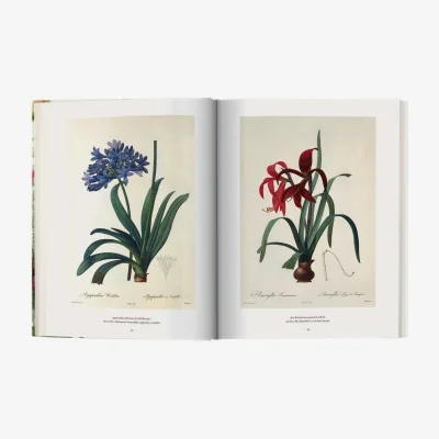Westwing Photobook Book of Flowers