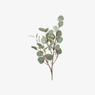 Westwing Decorative Branch Eucalyptus