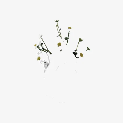 Amara Marcantonio Love In Bloom Porcelain Heart Vase