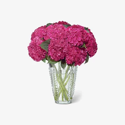 Amara AERIN - Lattea Vase - Small