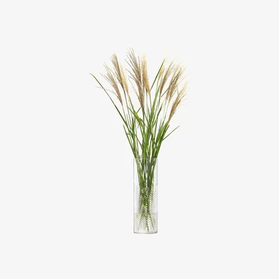 Amara LSA International - Wicker Vase - Clear