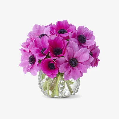 Amara AERIN - Lattea Round Vase