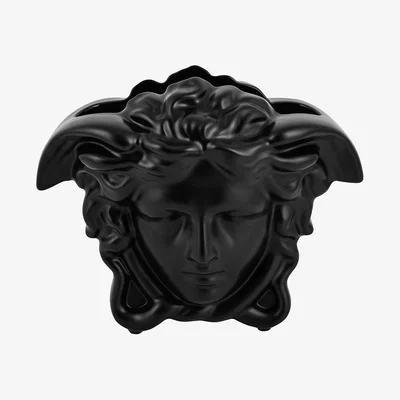 Amara Versace Home - Medusa Grande Vase - Black - Large