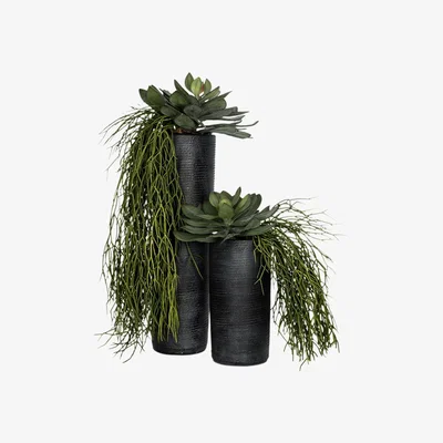 Amara rtfact - Succulents In Deep Stone Vase - Set of 2