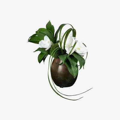 Amara rtfact - Vanda Orchid & Dianthus with Metallic Vase