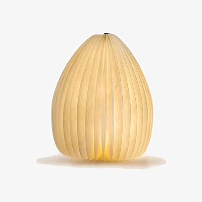 Amara Smart Vase Lamp