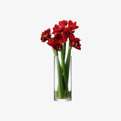 Amara LSA International - Column Vase - 20x50cm