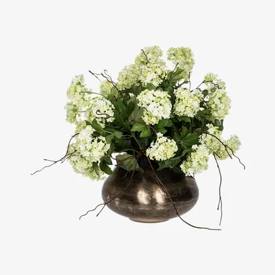 Amara rtfact - Guelder Rose & Twigs In Nickel Vase