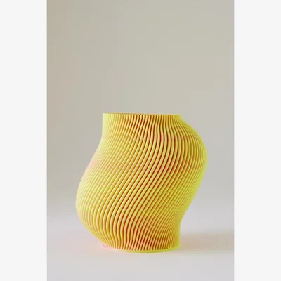 Anthropologie Sheyn Bloz Vase