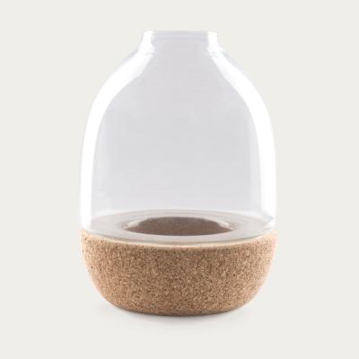 Bombinate.com Clear Glass Pitaro Vase