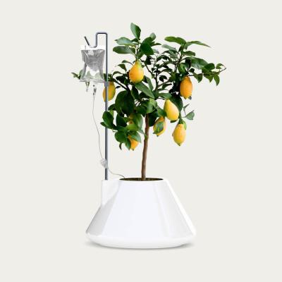 Bombinate.com White I.V. Plant Pot