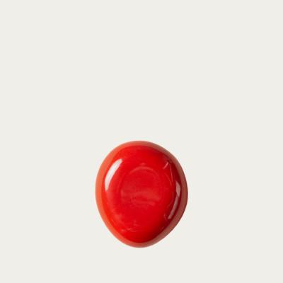 Bombinate.com Cherry The Pebble - Fossil Wall Hook