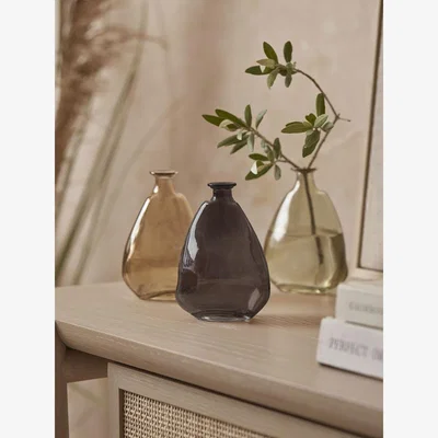 Cox and Cox Three Glass Bud Vases - Brown Mix