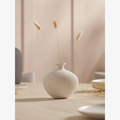 Cox and Cox White Lara Vase - Rounded