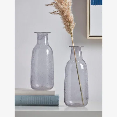 Cox and Cox Two Smoked Bottle Bud Vases