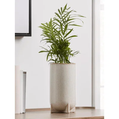 Cox and Cox Speckled Stoneware Vase