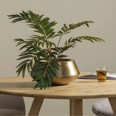 Cuckooland Woood Ezio Brass Bowl - Medium