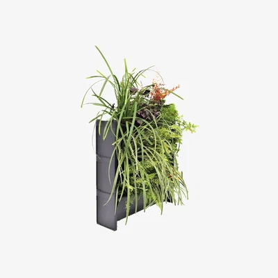 Cuckooland PlantBox Living Wall Stacking Planters - Set of 3