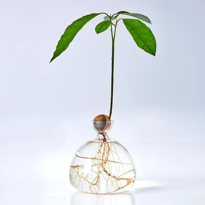 The Conran Shop Avocado Vase By Ilex Studio