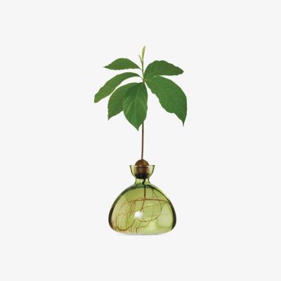 The Conran Shop Avocado Vase in Grass Green By Ilex Studio