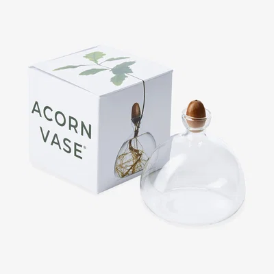 The Conran Shop Acorn Vase with Acorn