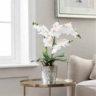 Dunelm Artificial Orchid White In Silver Pot 28cm White