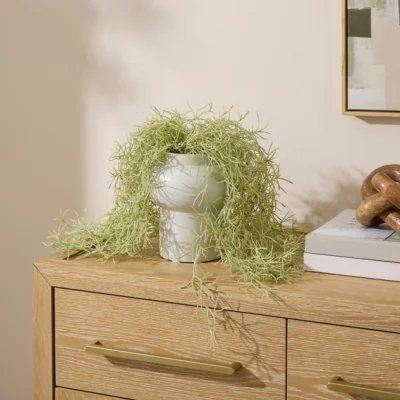 Dunelm Artificial Trailing Plant in White Ceramic Vase
