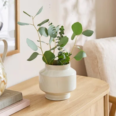 Dunelm Soft Industrial Small Cream Vase